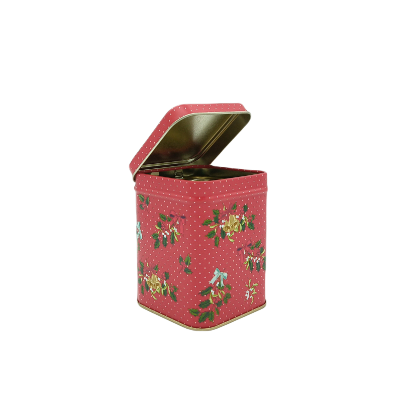 Lata Cuadrada Roja 100gr | TEAinFUSION