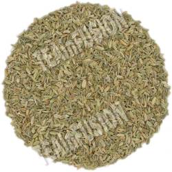 Infusión de Hinojo | TEAinFUSION