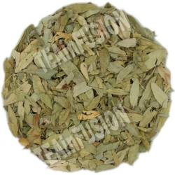 Hojas de Sen | Tea Infusion