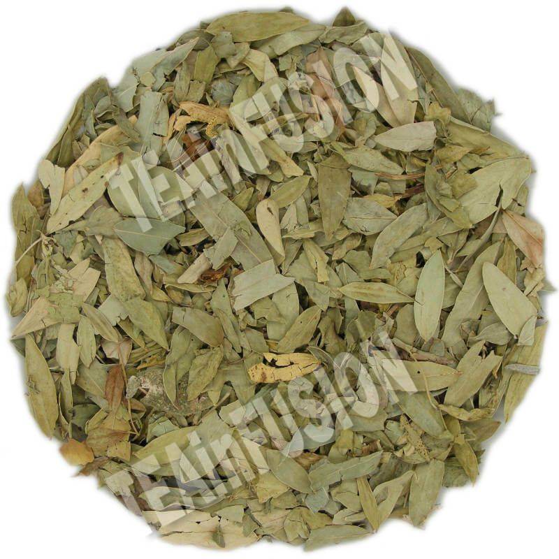 Hojas de Sen | Tea Infusion