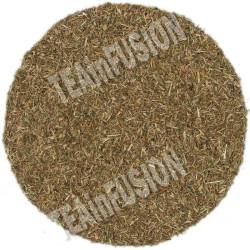 Tomillo Flor | TEAinFUSION