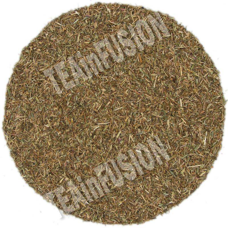 Tomillo Flor | TEAinFUSION