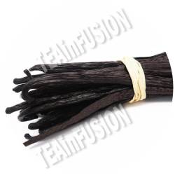 Vainilla Bourbon Madagascar BIO 16-20cm | TEAinFUSION