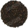 Pimienta Negra Grano | TEAinFUSION