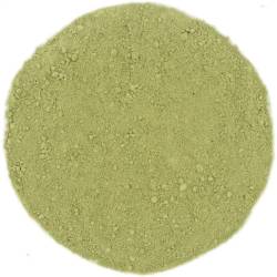 Té verde Matcha Japón | TeaInfusion