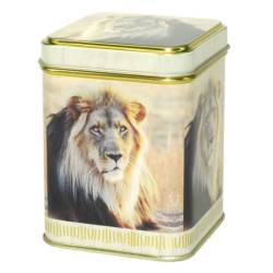 Lata de Té cuadrada 100gr León - TeaInfusion