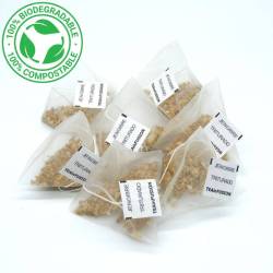 Infusión Jengibre Pirámides Biodegradables | TeaInfusion 2
