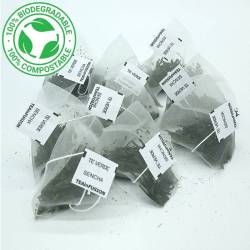 Té verde Sencha Pirámides Biodegradables TeaInfusion 2