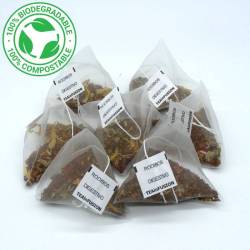 Rooibos Digestivo Pirámides Biodegradables | TeaInfusion 2
