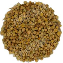 Manzanilla Mahon | TeaInfusion