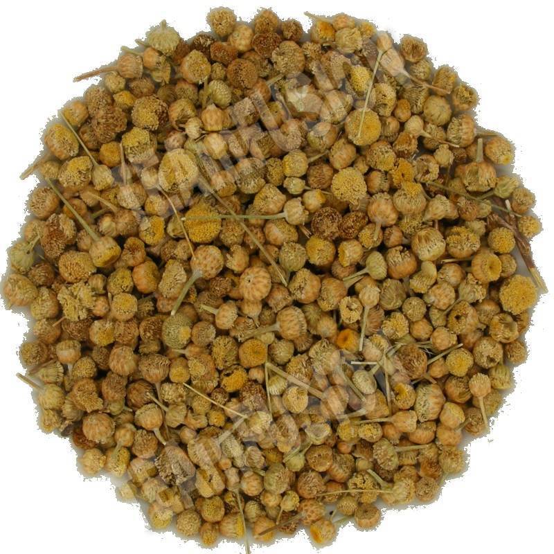 Manzanilla Mahon | TeaInfusion