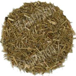 Erisimo Jaramago | Tea In fusion