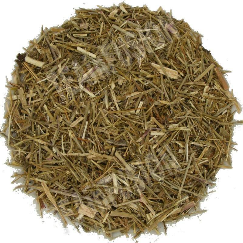 Erisimo Jaramago | Tea In fusion