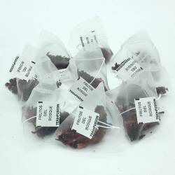 Frutos del Bosque Pirámides Biodegradables | TeaInfusion