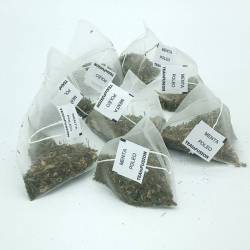 Menta Poleo Pirámides Biodegradables TeaInfusion
