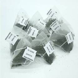 Té verde Sencha Pirámides Biodegradables TeaInfusion