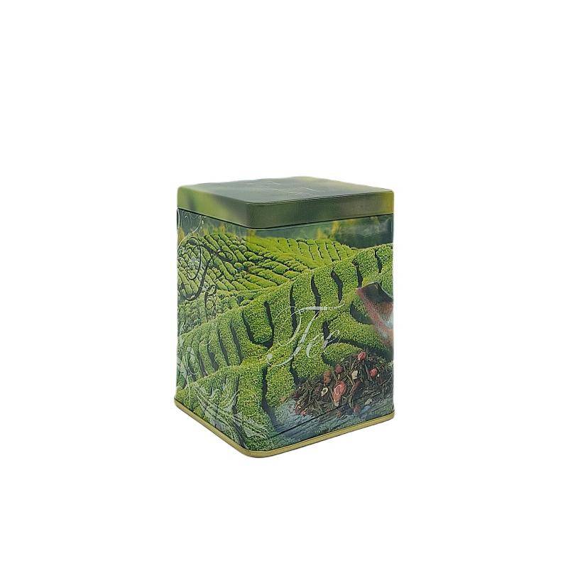 Lata cuadrada 100gr Ruta del Té | TEAinFUSION