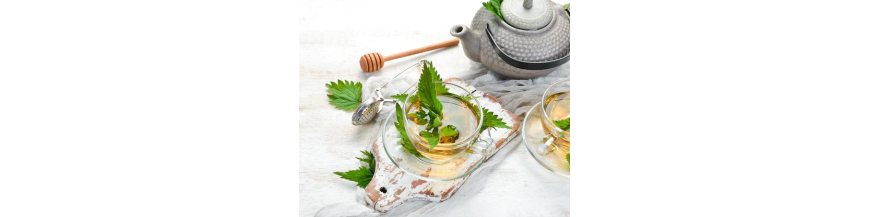 Infusiones naturales de hierbas | Tienda de Infusiones - TEAinFusion